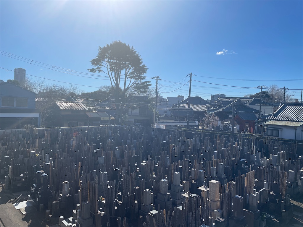 f:id:TokuheiKumagai:20250126125847j:image f:id:TokuheiKumagai:20250126125847j:image