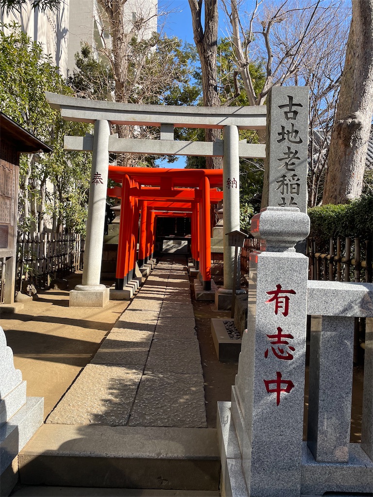 f:id:TokuheiKumagai:20250130204303j:image