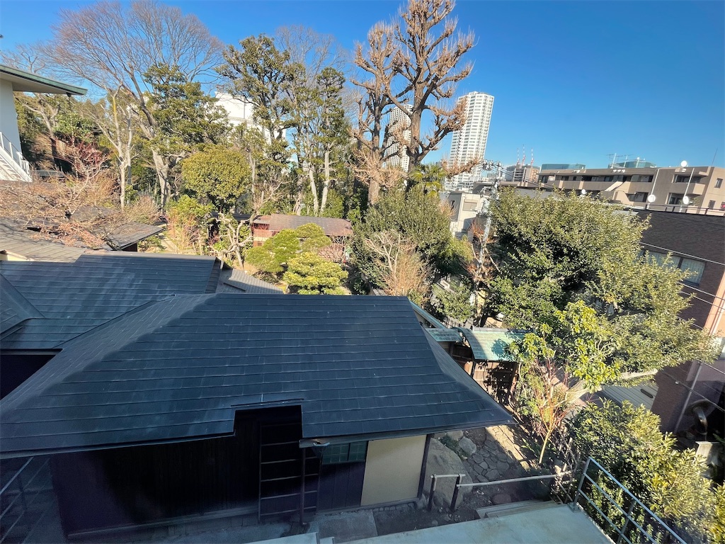 f:id:TokuheiKumagai:20250130210222j:image