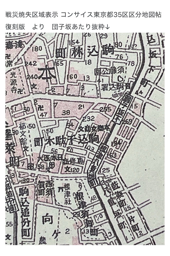 f:id:TokuheiKumagai:20250203153109j:image f:id:TokuheiKumagai:20250203153109j:image