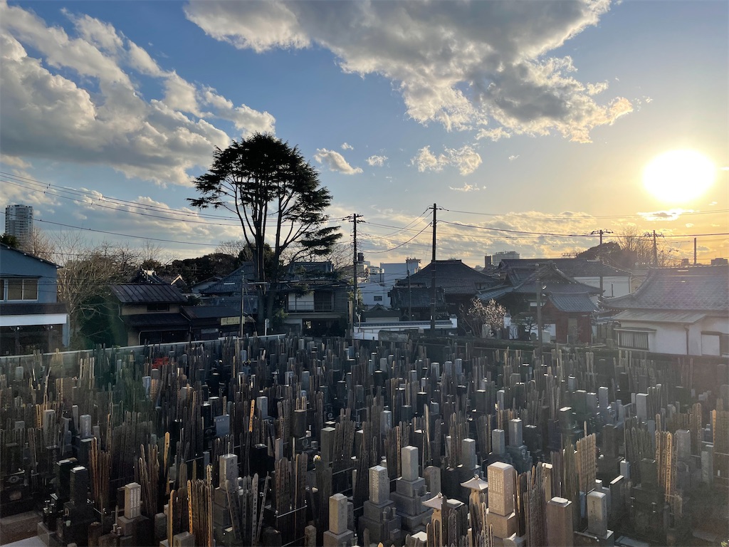 f:id:TokuheiKumagai:20250206164311j:image