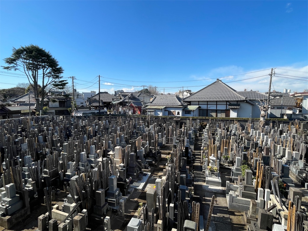 f:id:TokuheiKumagai:20250207173724j:image