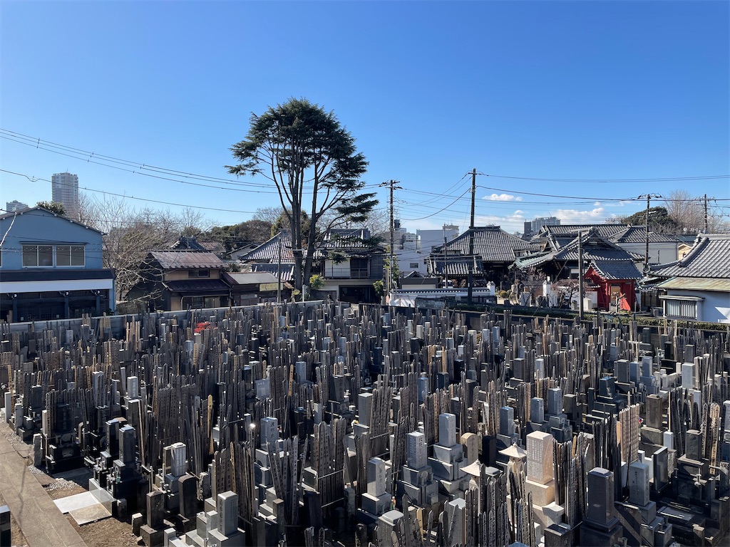 f:id:TokuheiKumagai:20250207173727j:image