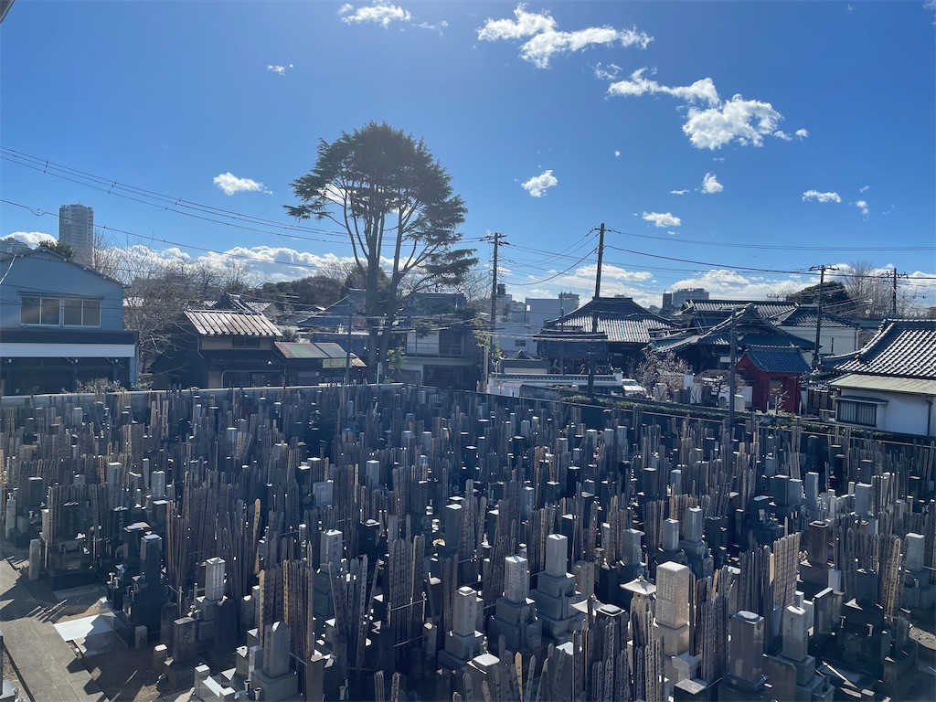 f:id:TokuheiKumagai:20250208133759j:image