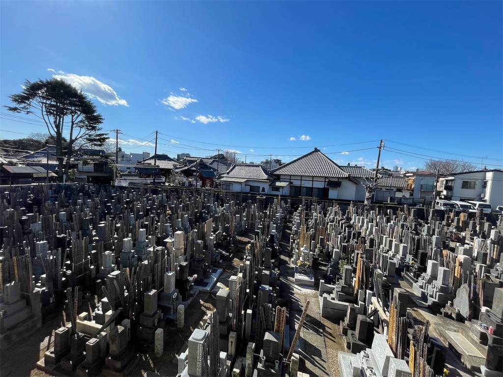 f:id:TokuheiKumagai:20250209231416j:image