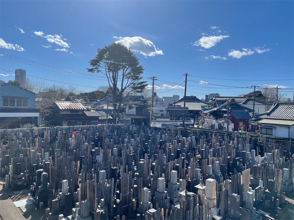 f:id:TokuheiKumagai:20250209231424j:image