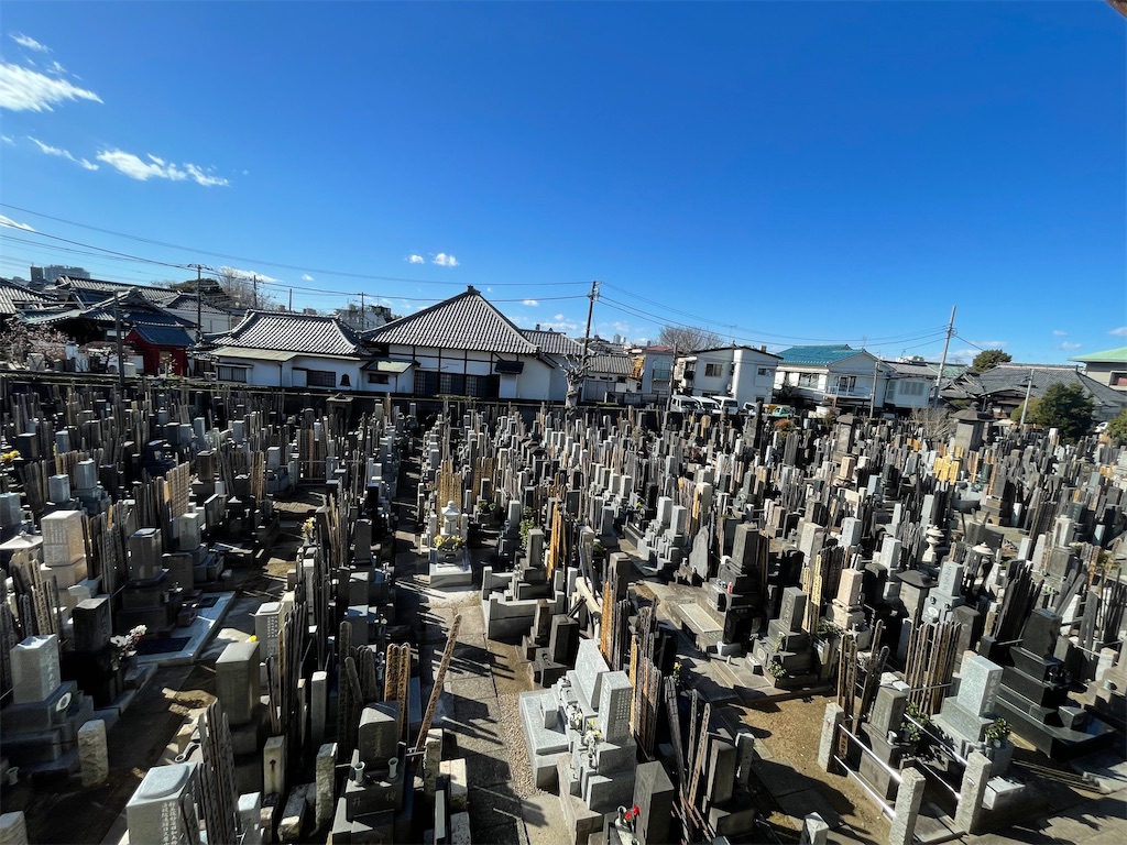 f:id:TokuheiKumagai:20250209231427j:image