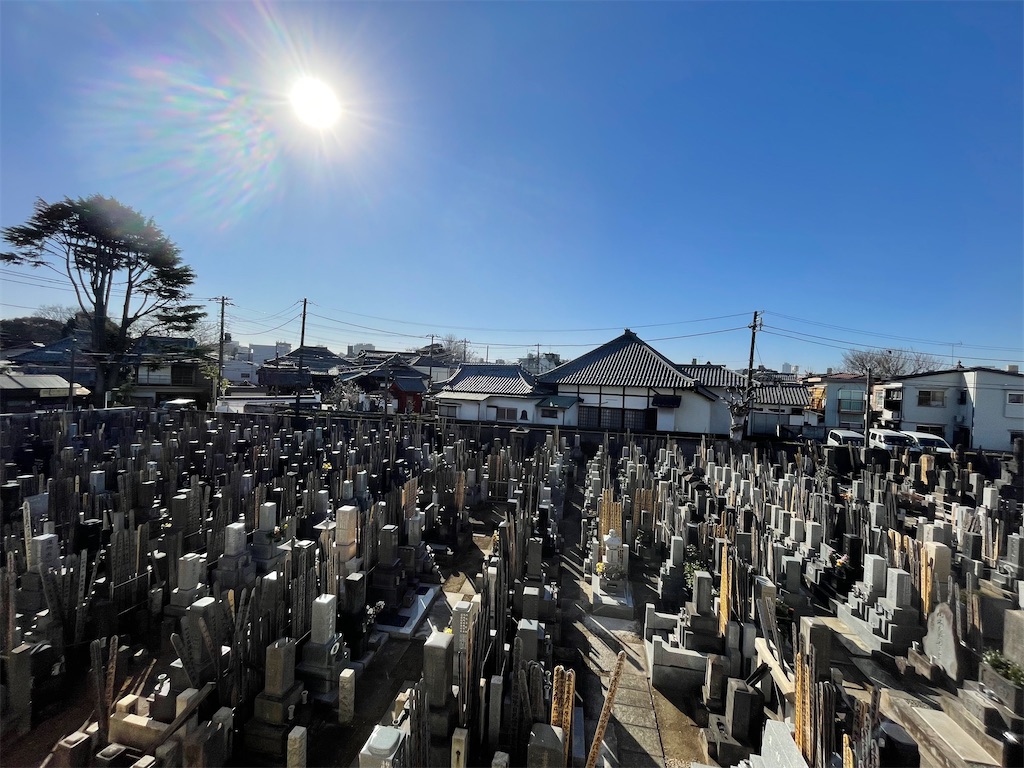 f:id:TokuheiKumagai:20250211152539j:image