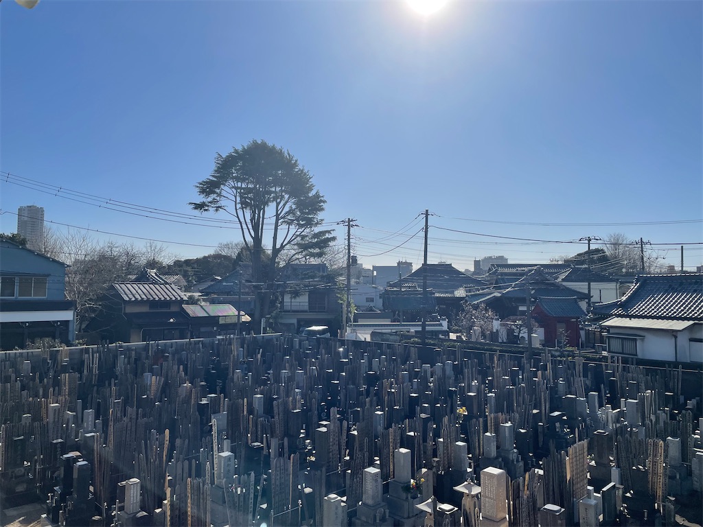 f:id:TokuheiKumagai:20250211152547j:image