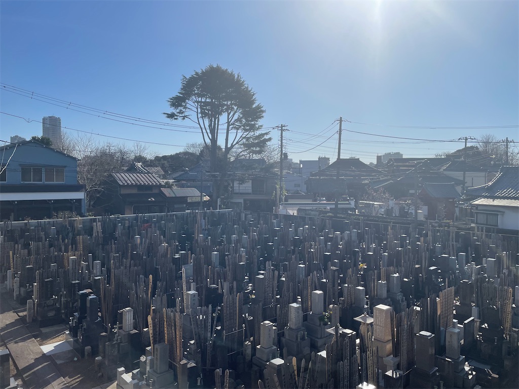 f:id:TokuheiKumagai:20250213152618j:image
