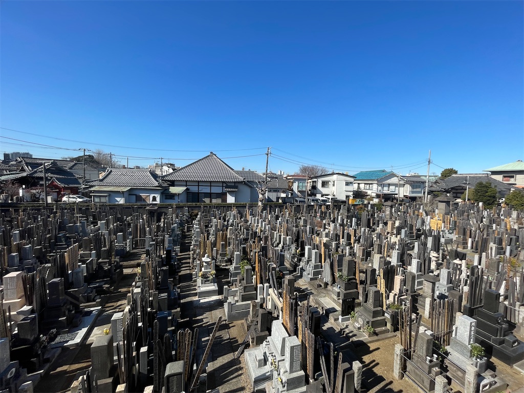 f:id:TokuheiKumagai:20250214143002j:image
