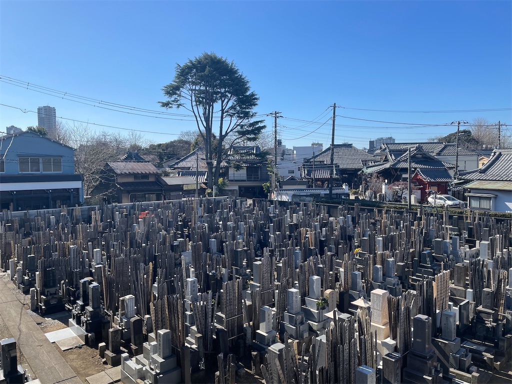 f:id:TokuheiKumagai:20250214143011j:image
