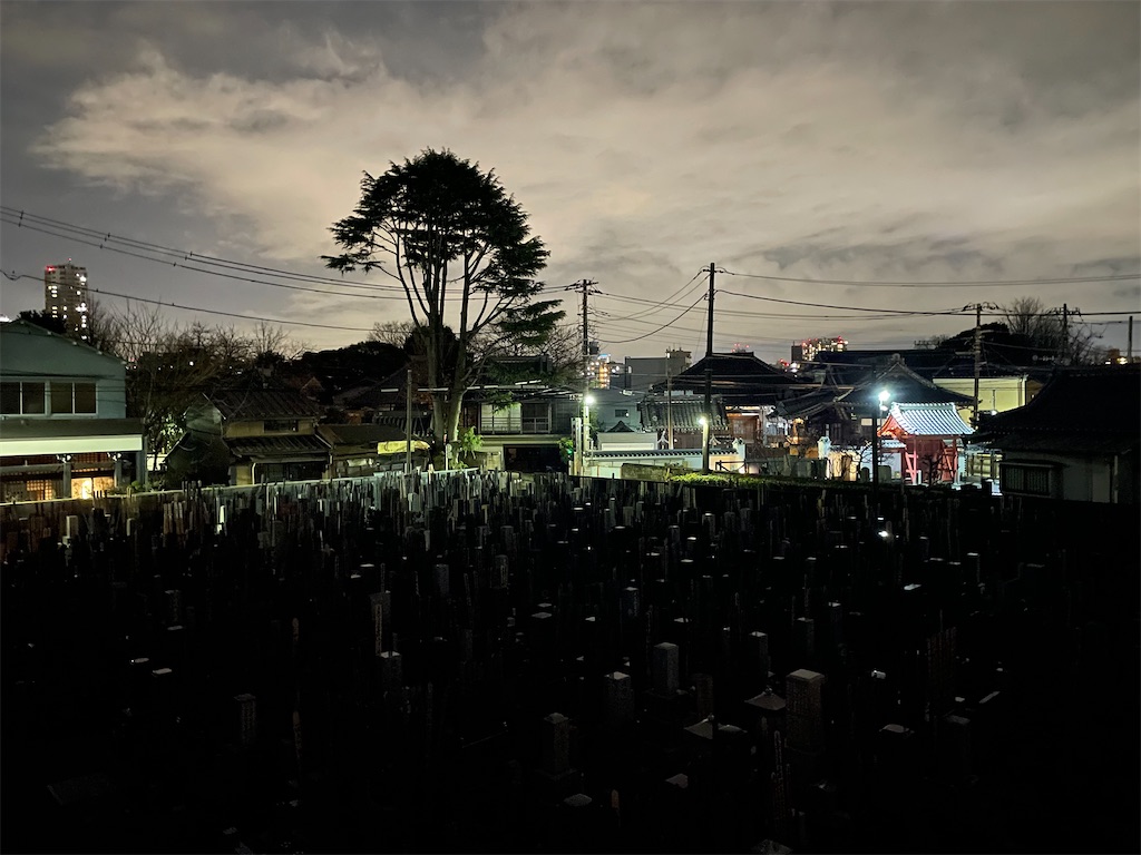 f:id:TokuheiKumagai:20250216002220j:image
