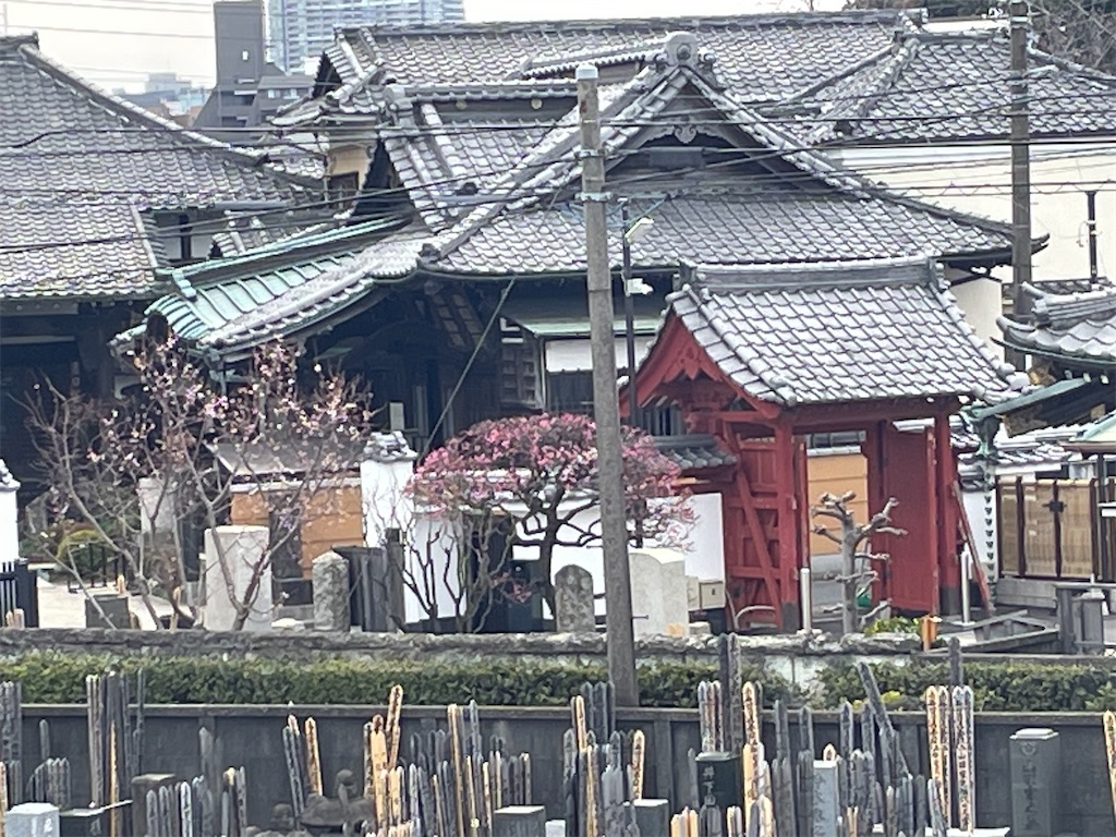 f:id:TokuheiKumagai:20250216165856j:image
