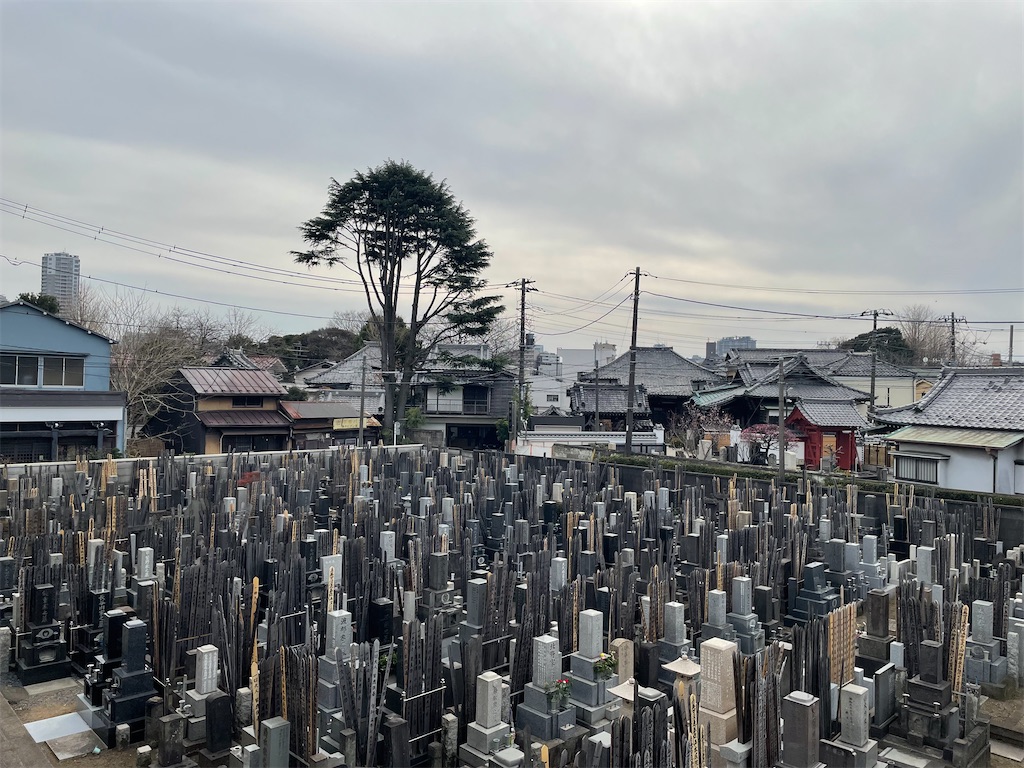 f:id:TokuheiKumagai:20250216165900j:image
