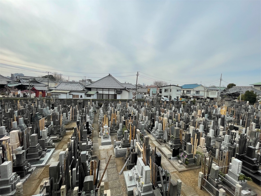 f:id:TokuheiKumagai:20250216165908j:image
