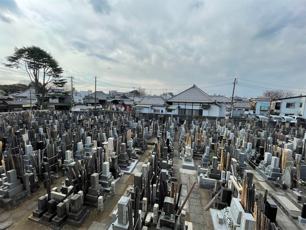 f:id:TokuheiKumagai:20250217132118j:image