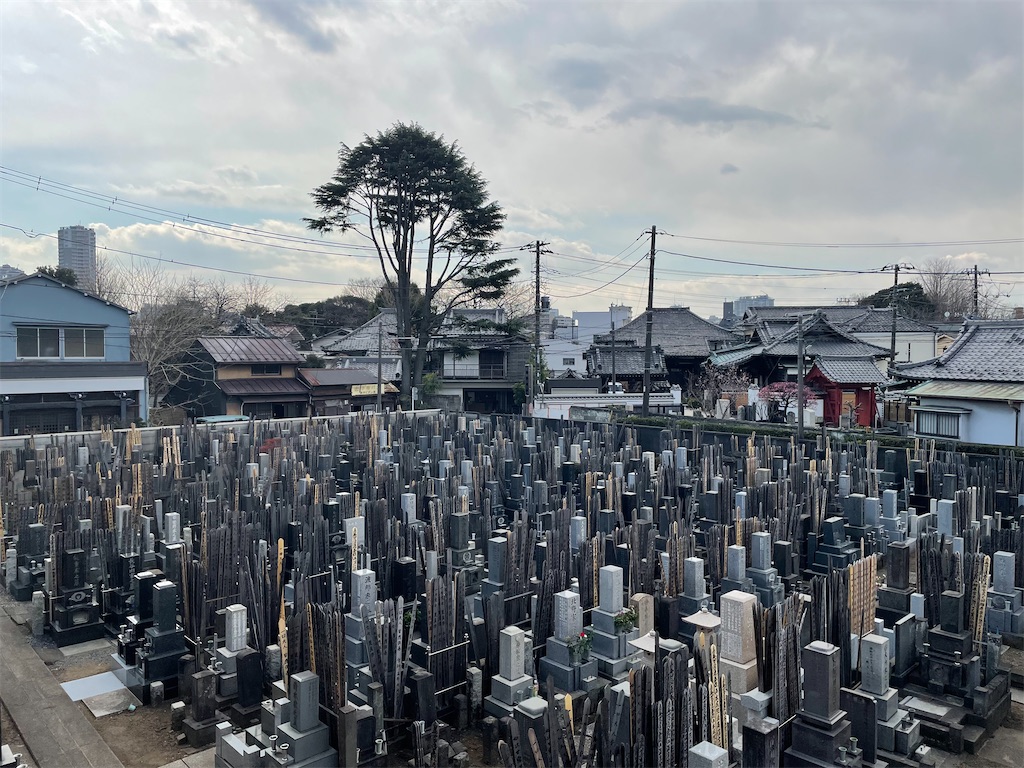 f:id:TokuheiKumagai:20250217132122j:image
