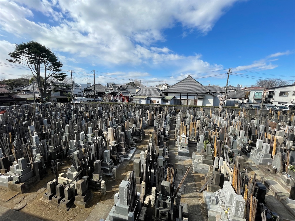 f:id:TokuheiKumagai:20250218170010j:image