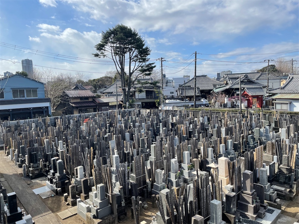 f:id:TokuheiKumagai:20250218170017j:image