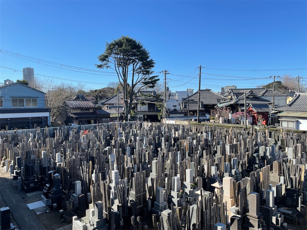 f:id:TokuheiKumagai:20250219223506j:image
