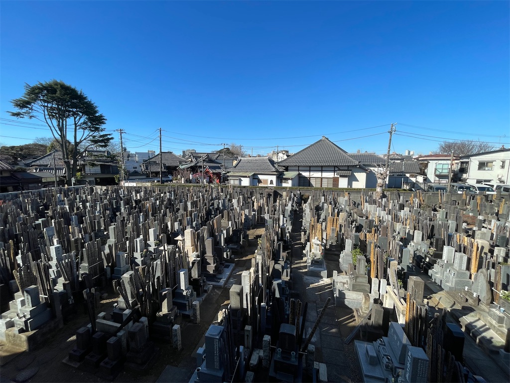 f:id:TokuheiKumagai:20250219223520j:image