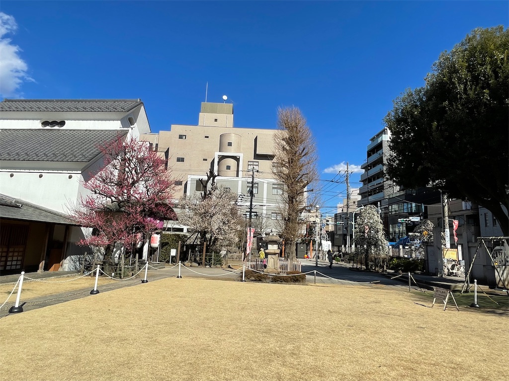 f:id:TokuheiKumagai:20250220195053j:image