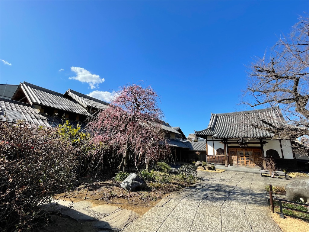 f:id:TokuheiKumagai:20250220195107j:image