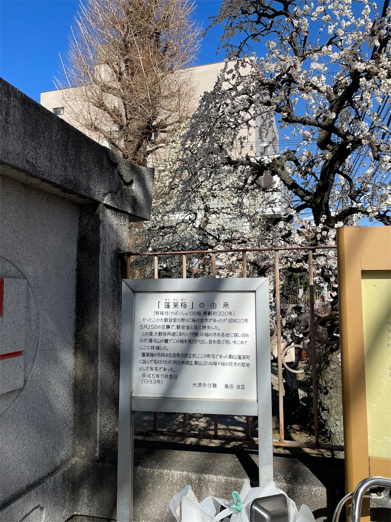 f:id:TokuheiKumagai:20250220195115j:image