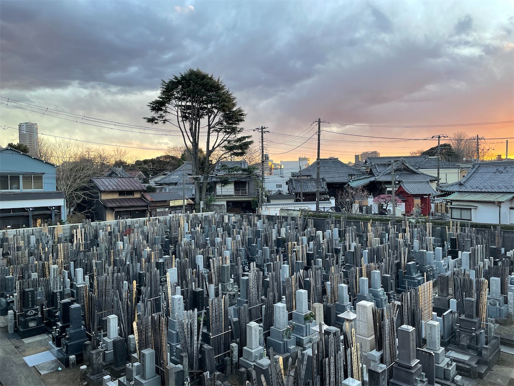 f:id:TokuheiKumagai:20250220195158j:image