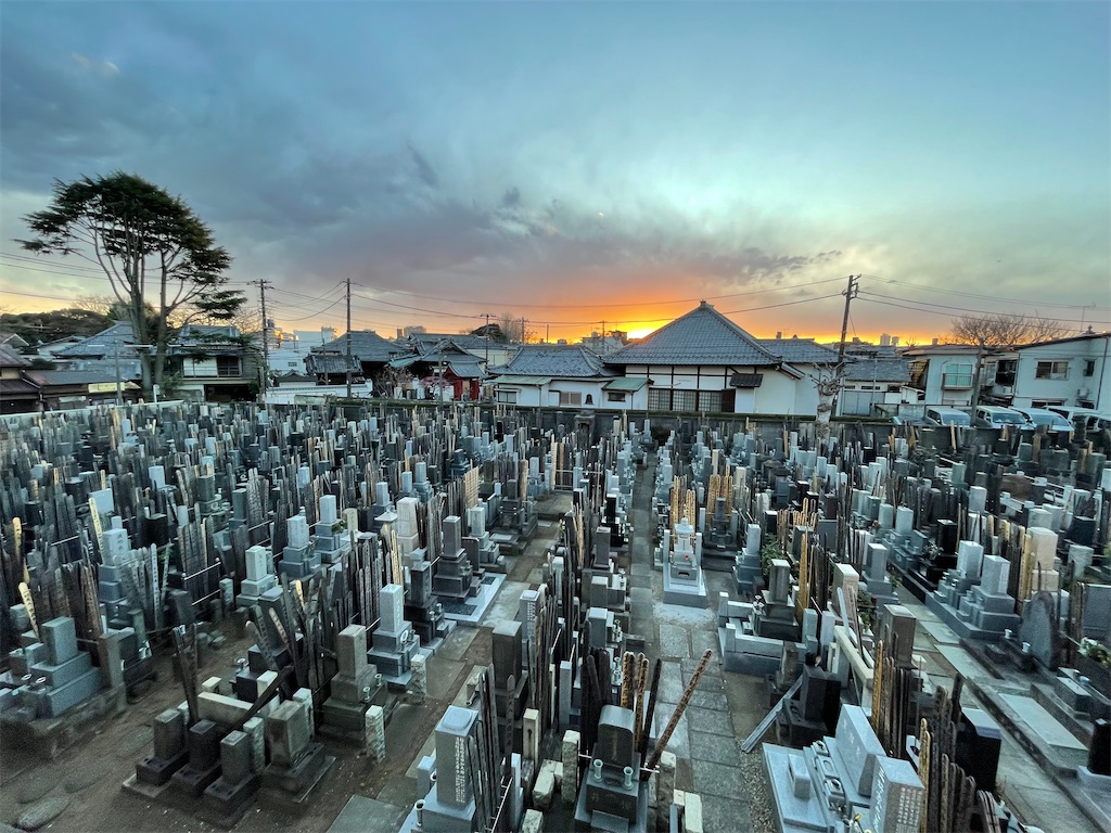 f:id:TokuheiKumagai:20250220195206j:image