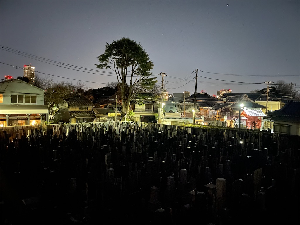 f:id:TokuheiKumagai:20250222232656j:image