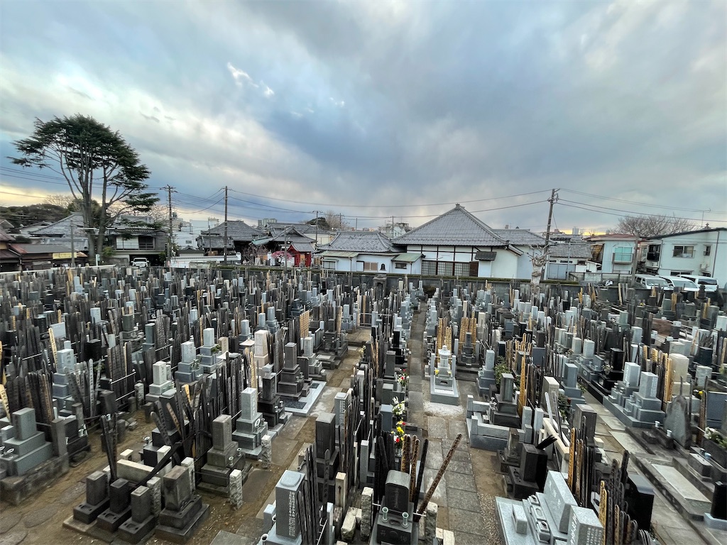 f:id:TokuheiKumagai:20250223165659j:image