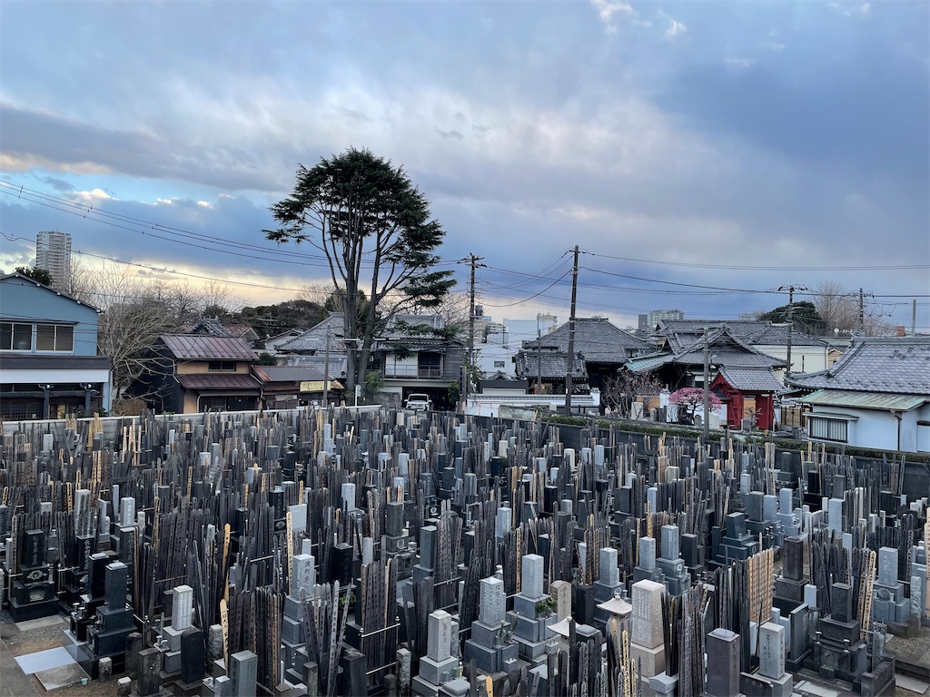 f:id:TokuheiKumagai:20250223165703j:image