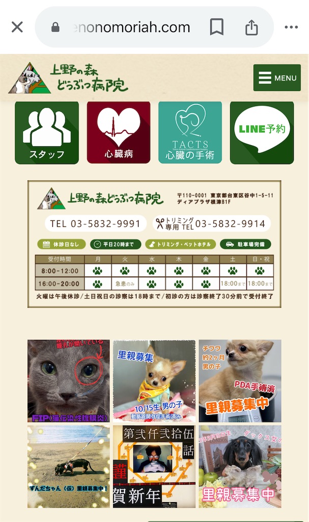 f:id:TokuheiKumagai:20250223194012j:image