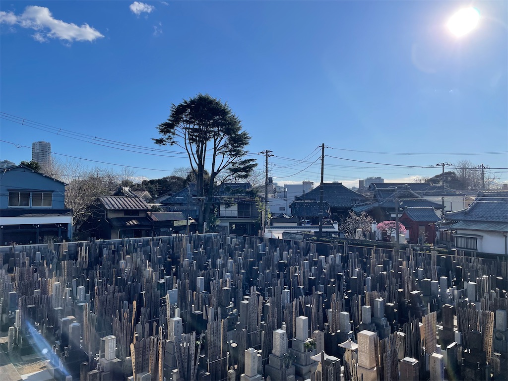 f:id:TokuheiKumagai:20250224154550j:image