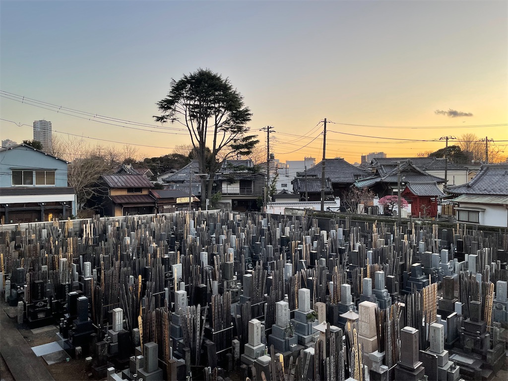 f:id:TokuheiKumagai:20250225203610j:image