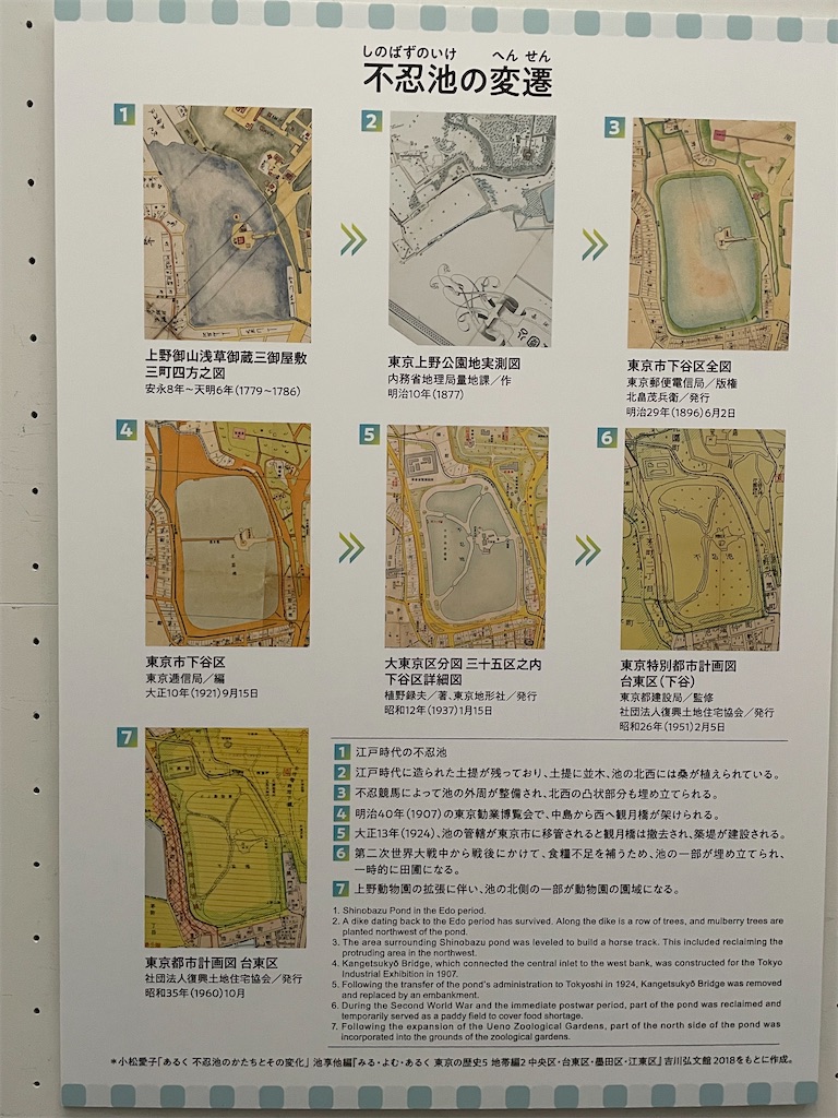 f:id:TokuheiKumagai:20250225204848j:image