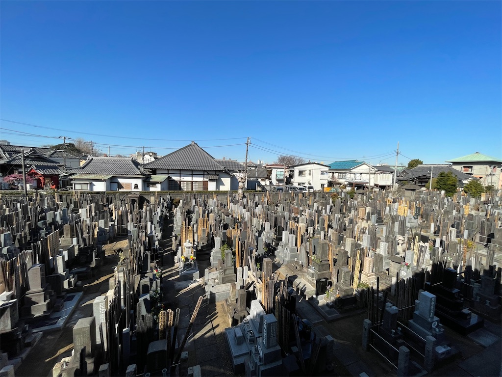 f:id:TokuheiKumagai:20250226101024j:image