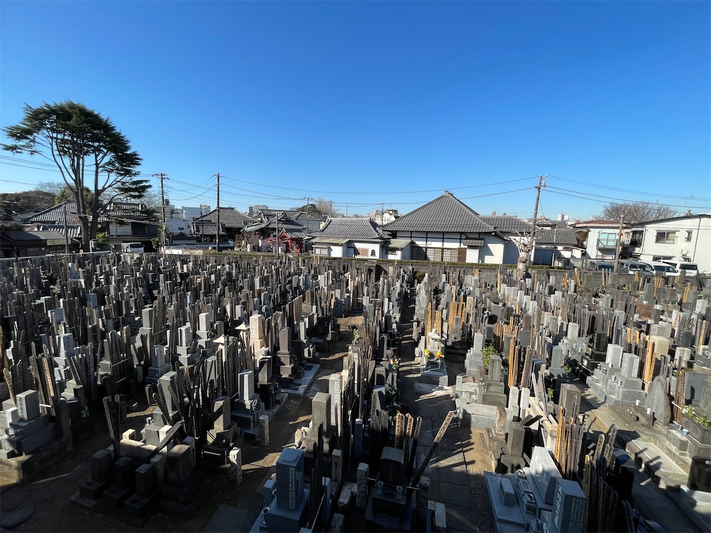 f:id:TokuheiKumagai:20250226101038j:image