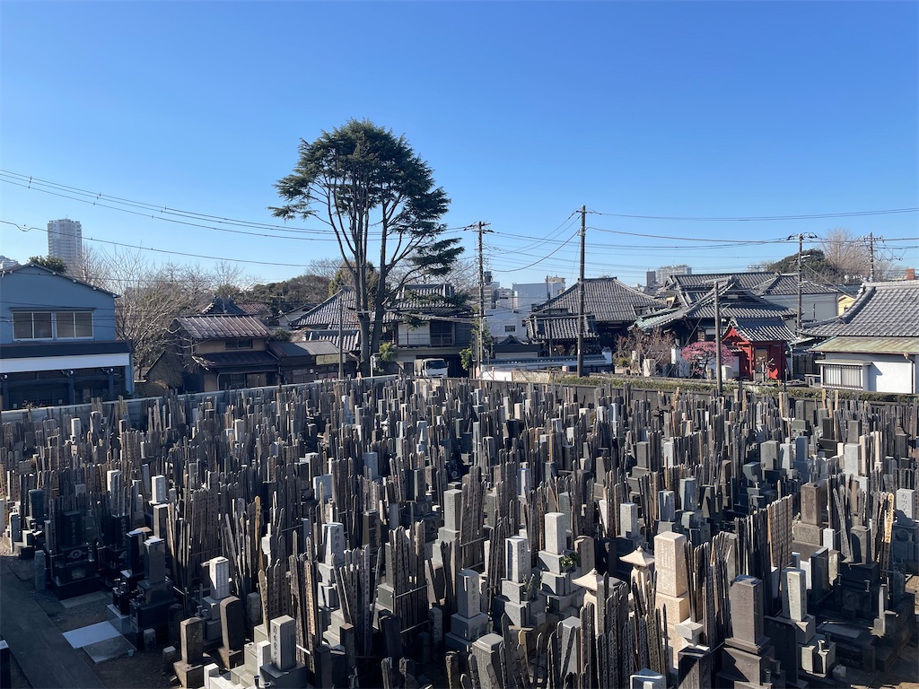 f:id:TokuheiKumagai:20250226101041j:image