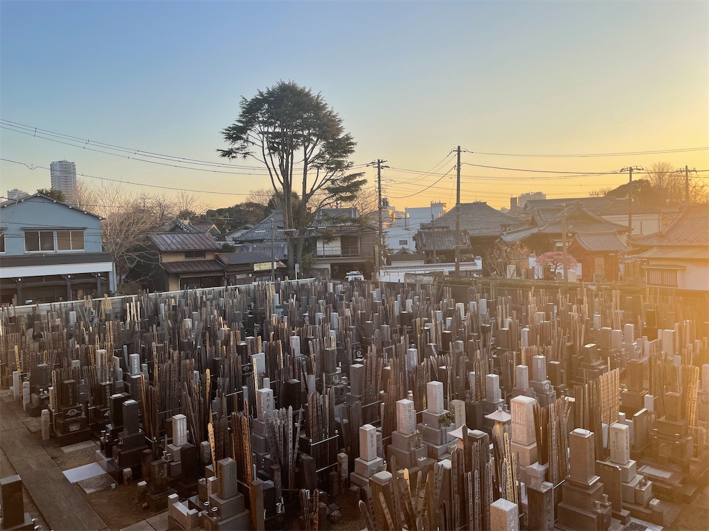 f:id:TokuheiKumagai:20250227185947j:image