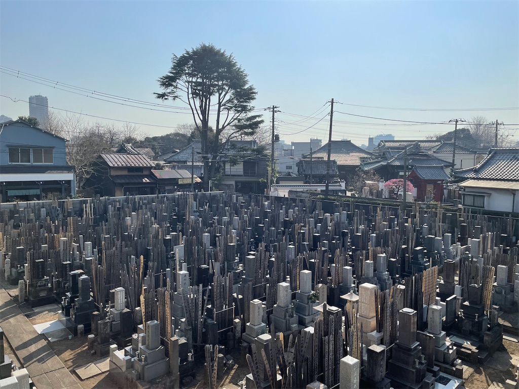 f:id:TokuheiKumagai:20250228203737j:image