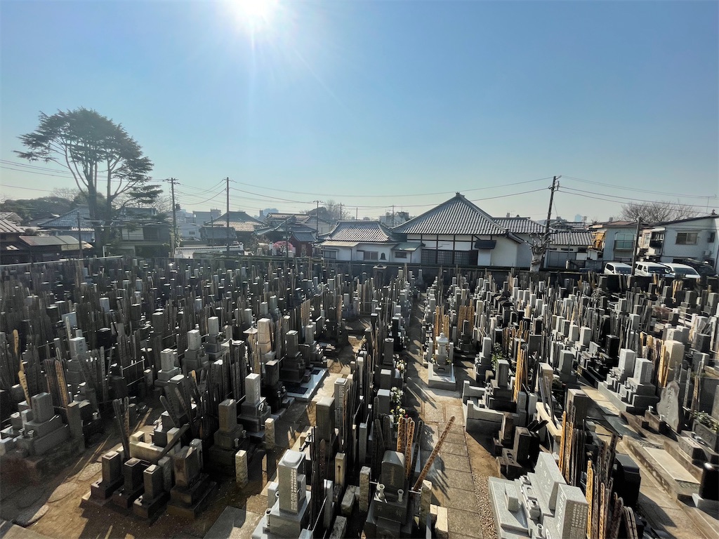 f:id:TokuheiKumagai:20250228203741j:image