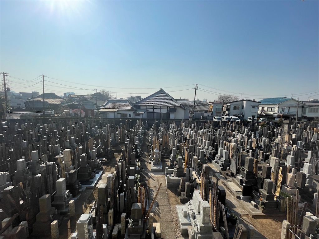 f:id:TokuheiKumagai:20250228203744j:image