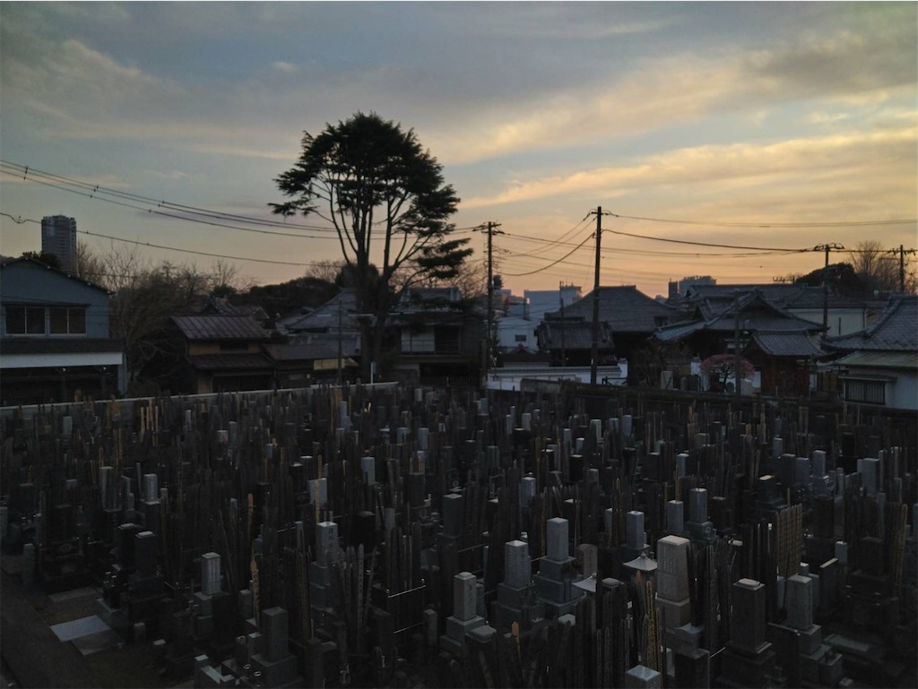 f:id:TokuheiKumagai:20250301200123j:image