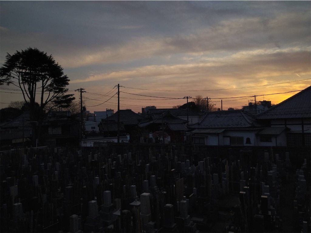 f:id:TokuheiKumagai:20250301200127j:image