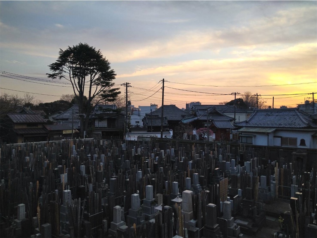 f:id:TokuheiKumagai:20250301200134j:image