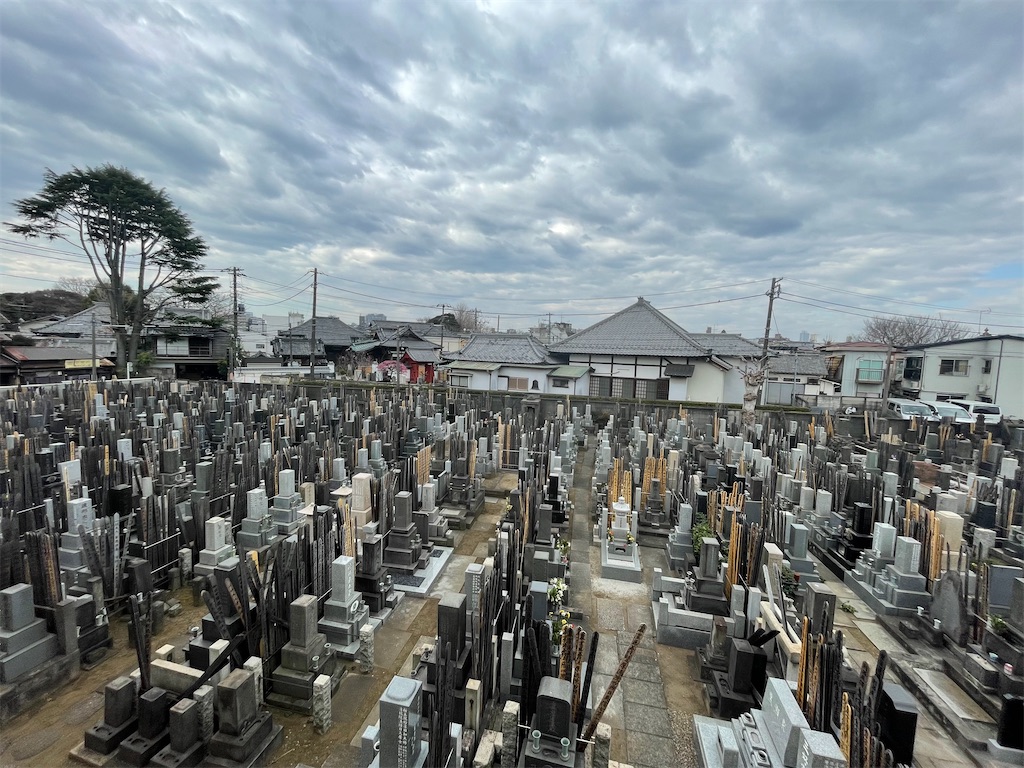 f:id:TokuheiKumagai:20250302122433j:image