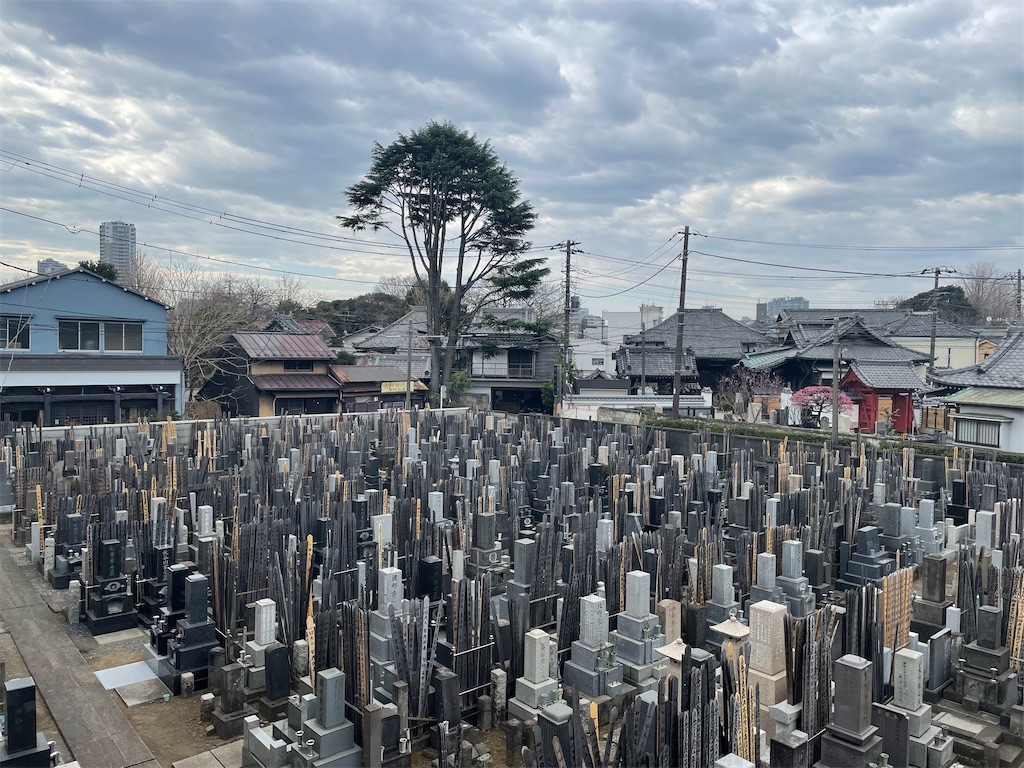 f:id:TokuheiKumagai:20250302122437j:image